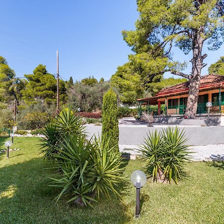 Skopelos Country House Diamantis & Chrisi Agnontas 外观 照片