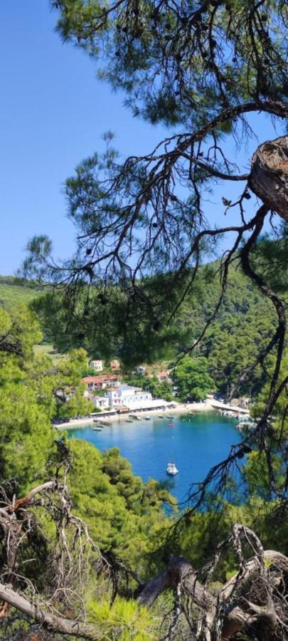 Skopelos Country House Diamantis & Chrisi Agnontas 外观 照片