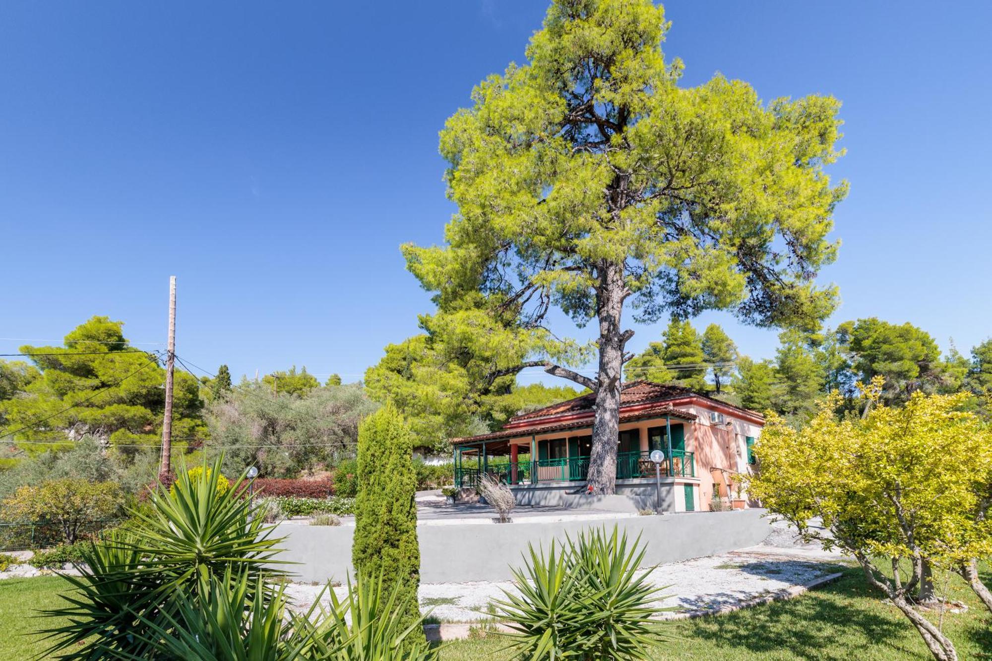 Skopelos Country House Diamantis & Chrisi Agnontas 外观 照片